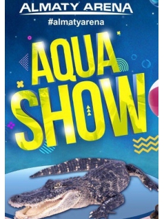 Aqua Show 10 февраля