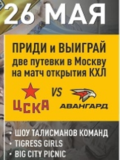 Финал Алматинской Любительской Хоккейной Лиги