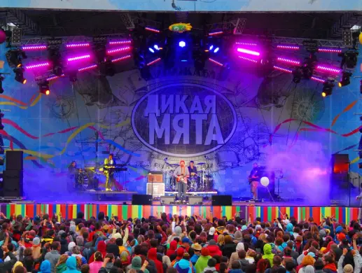 Фестиваль «Дикая Мята» в Москве